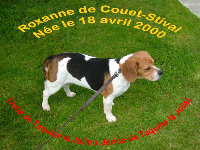 Roxane de couet-stival (Sans Affixe)