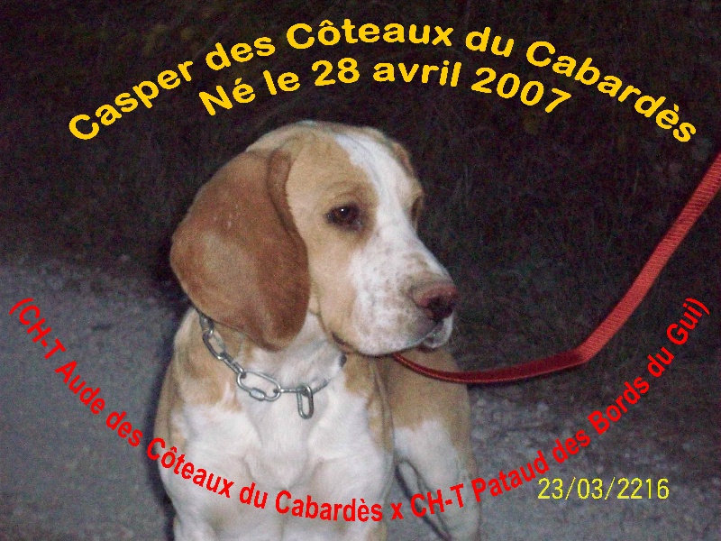 Casper des coteaux du cabardès
