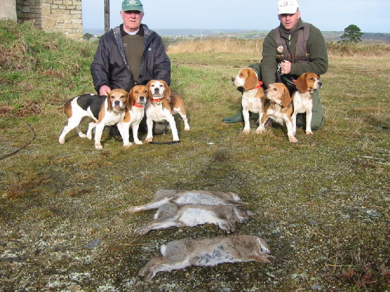 Chasse