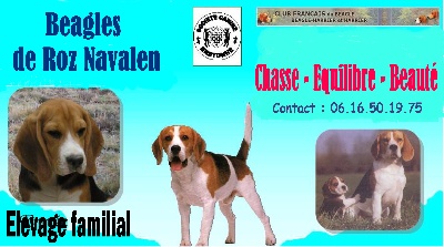 de Roz Navalen